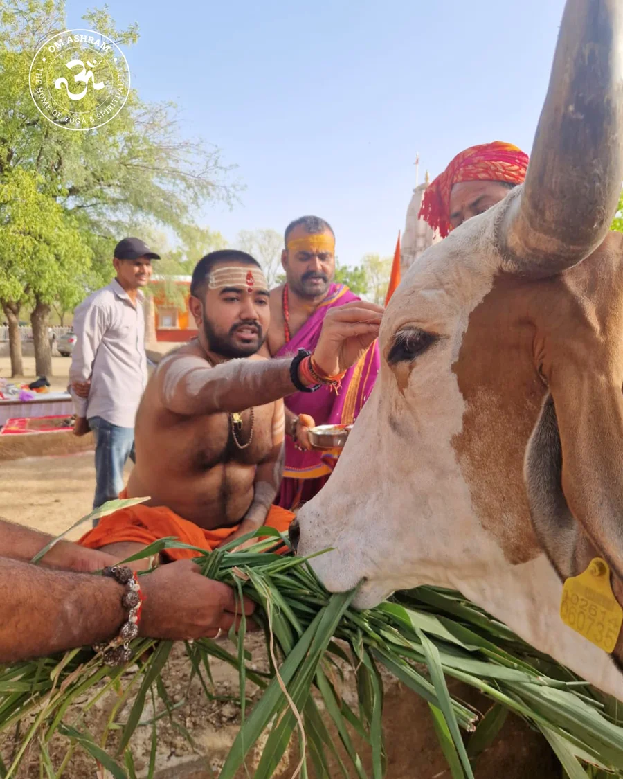 According to Vedic tradition, a real cow and a horse are present at the site of Panch Dhuni Tapasya.
